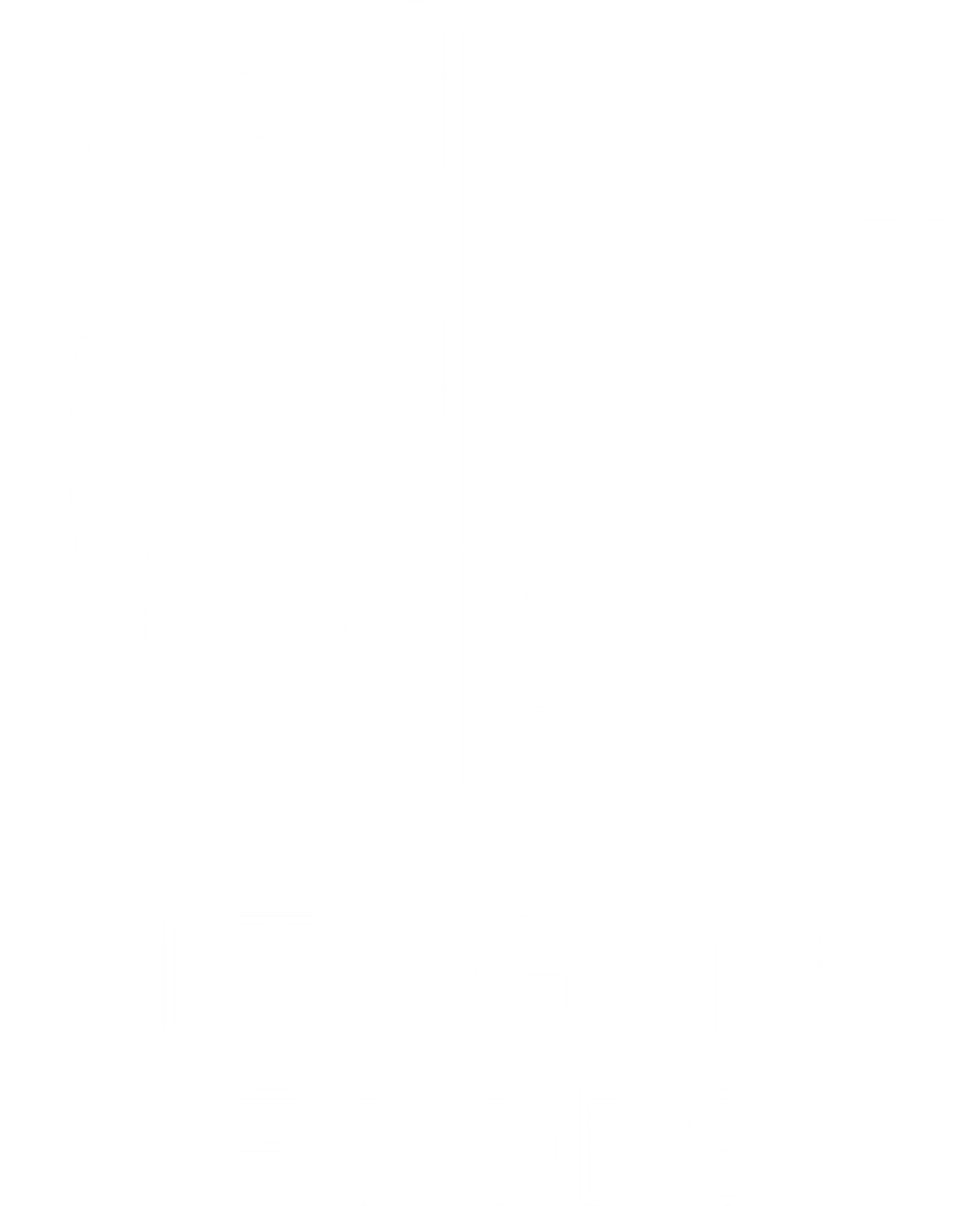 ALTA GAMA FOOD