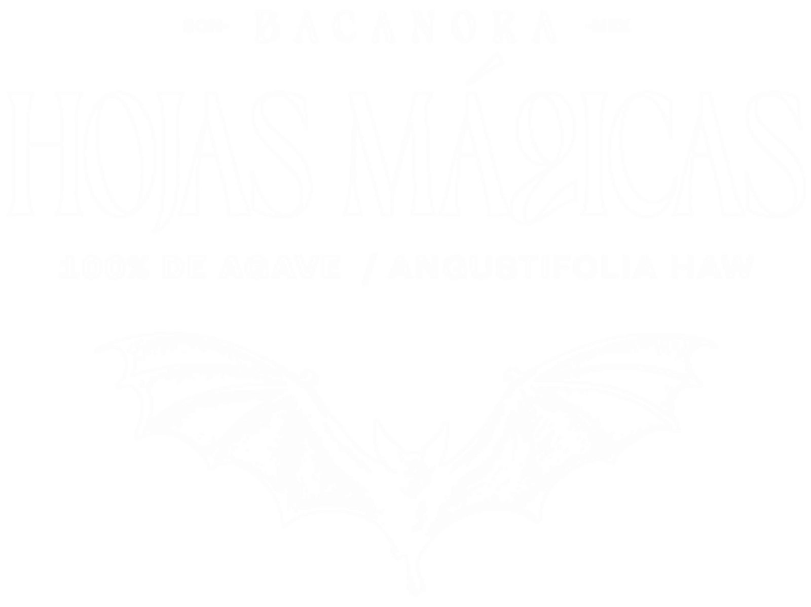 HORAS MAGICAS