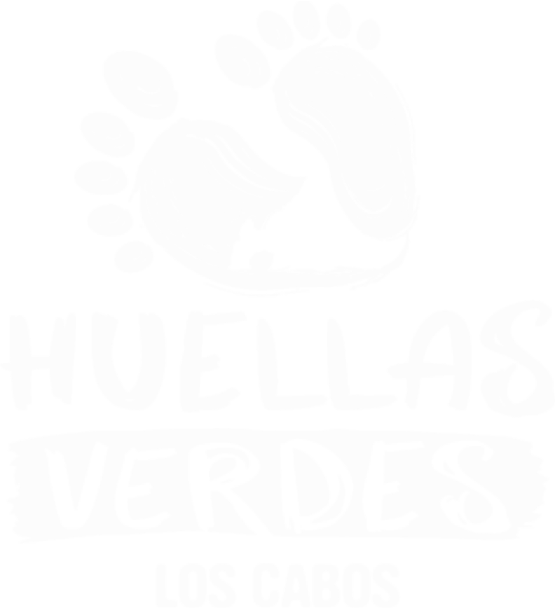 HUELLAS VERDES